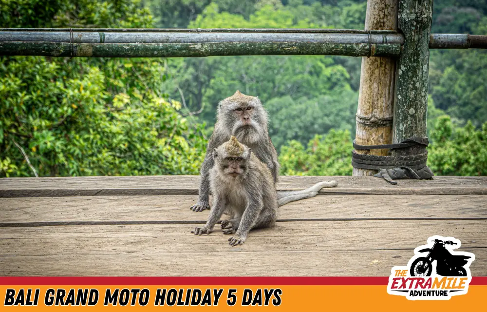 Indonesia - Bali - Bali Grand Moto Holiday 5 days - The Extra Mile Adventure Motorbike Tours (12)