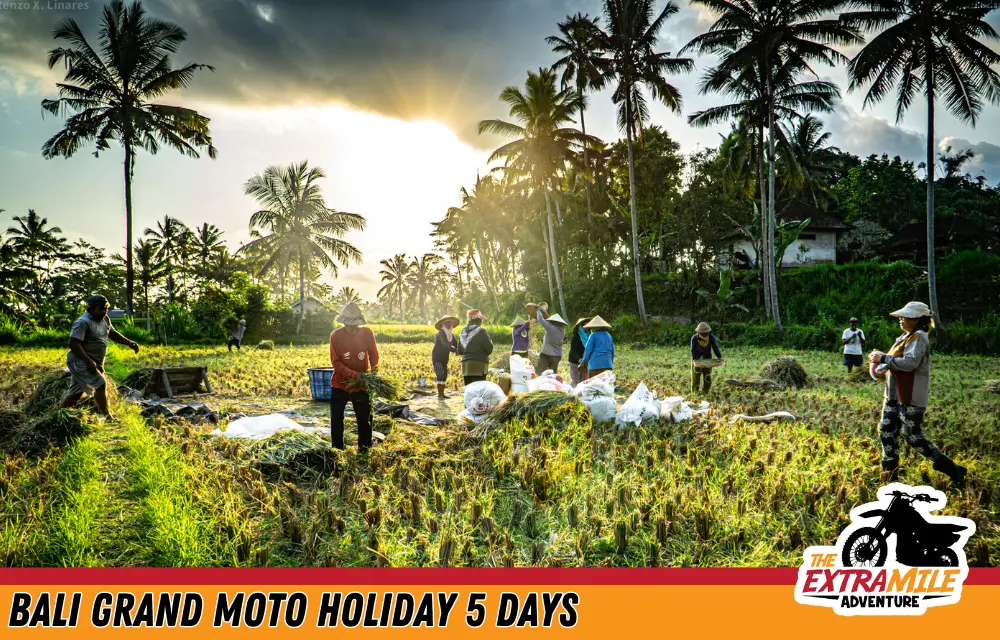 Indonesia - Bali - Bali Grand Moto Holiday 5 days - The Extra Mile Adventure Motorbike Tours (15)