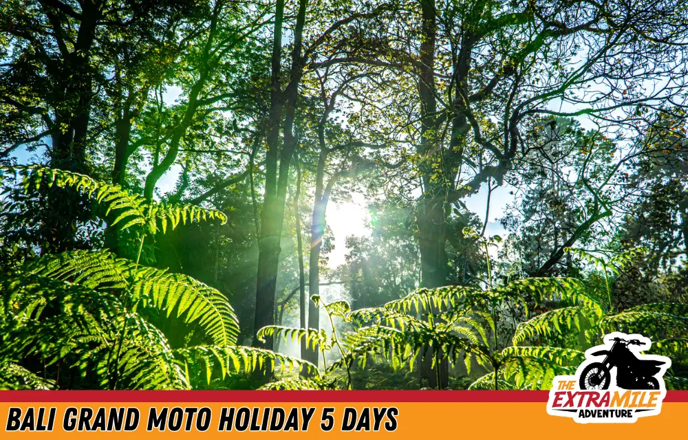 Indonesia - Bali - Bali Grand Moto Holiday 5 days - The Extra Mile Adventure Motorbike Tours (16)