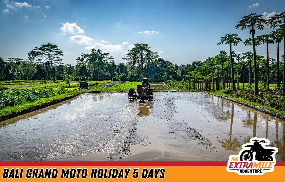 Indonesia - Bali - Bali Grand Moto Holiday 5 days - The Extra Mile Adventure Motorbike Tours (4)