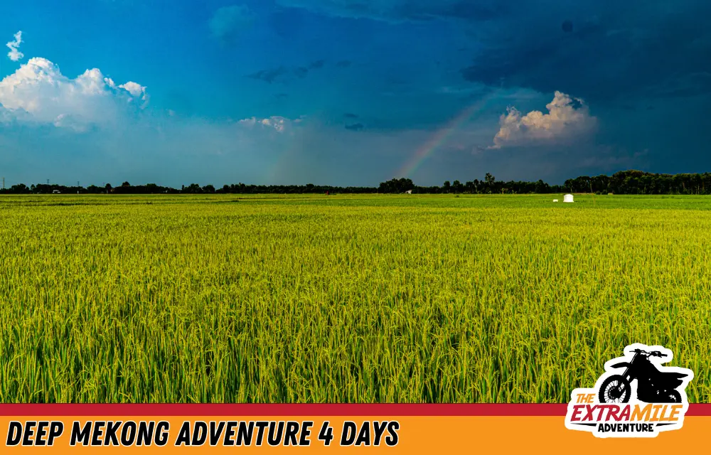 Vietnam - Mekong Delta - Deep Mekong Adventure 4 days - The Extra Mile Adventure Motorbike Tours (19)