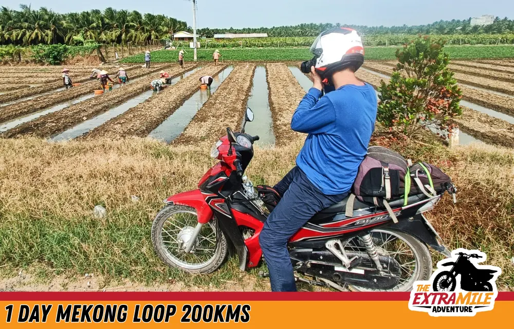 Vietnam - Mekong Delta - Mekong Loop 200kms (7) - The Extra Mile Adventure Motorbike Tours