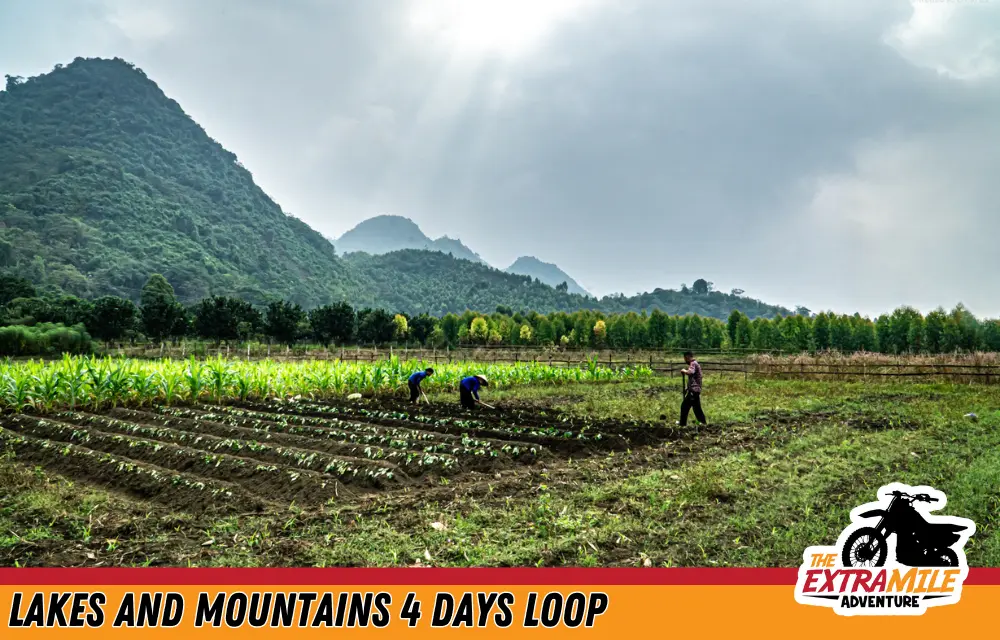 Vietnam - North - Lakes and Mountains 4 Days Loop - The Extra Mile Adventure Motorbike Tours (3)